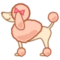 🐩 Anjing Pudel