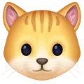 🐱 Wajah Kucing Facebook