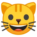 🐱 Wajah Kucing Google