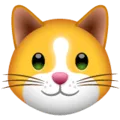 🐱 Wajah Kucing WhatsApp