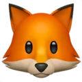 🦊 Rubah Apple