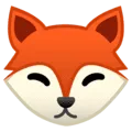 🦊 Rubah Google