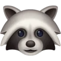 🦝 Rakun Facebook