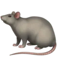 🐀 Tikus Apple