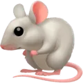 🐁 Tikus Facebook