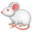 🐁 Tikus Samsung
