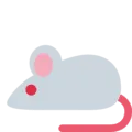 🐁 Tikus Twitter