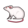 🐁 Tikus