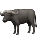🐃 Kerbau Facebook