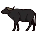 🐃 Kerbau
