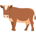 🐄 Sapi Messenger
