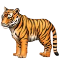 🐅 Harimau Facebook