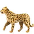 🐆 Macan Tutul Apple