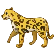 🐆 Macan Tutul Samsung