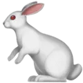 🐇 Kelinci Apple