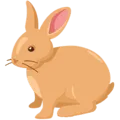 🐇 Kelinci Messenger