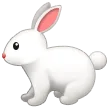 🐇 Kelinci Samsung