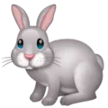 🐇 Kelinci WhatsApp