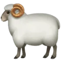 🐏 Domba Jantan Apple