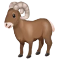 🐏 Domba Jantan WhatsApp