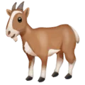🐐 Kambing WhatsApp
