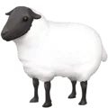 🐑 Domba Betina Facebook