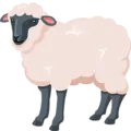 🐑 Domba Betina Messenger