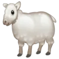 🐑 Domba Betina WhatsApp