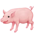 🐖 Babi Facebook