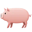 🐖 Babi Samsung
