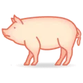 🐖 Babi