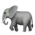 🐘 Gajah Apple