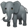 🐘 Gajah WhatsApp
