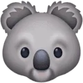 🐨 Koala Facebook