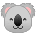 🐨 Koala Google