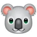 🐨 Koala WhatsApp