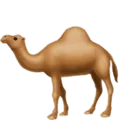 🐪 Unta Apple