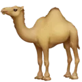 🐪 Unta Facebook