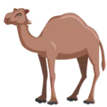 🐪 Unta Messenger