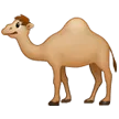 🐪 Unta Samsung