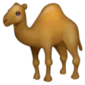 🐪 Unta WhatsApp