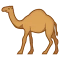 🐪 Unta