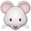 🐭 Wajah Tikus Samsung