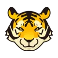 🐯 Wajah Harimau