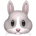 🐰 Wajah Kelinci Apple