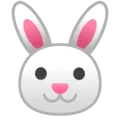 🐰 Wajah Kelinci Google