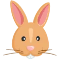 🐰 Wajah Kelinci Messenger