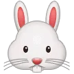 🐰 Wajah Kelinci Samsung