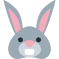 🐰 Wajah Kelinci Twitter