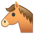 🐴 Wajah Kuda Google